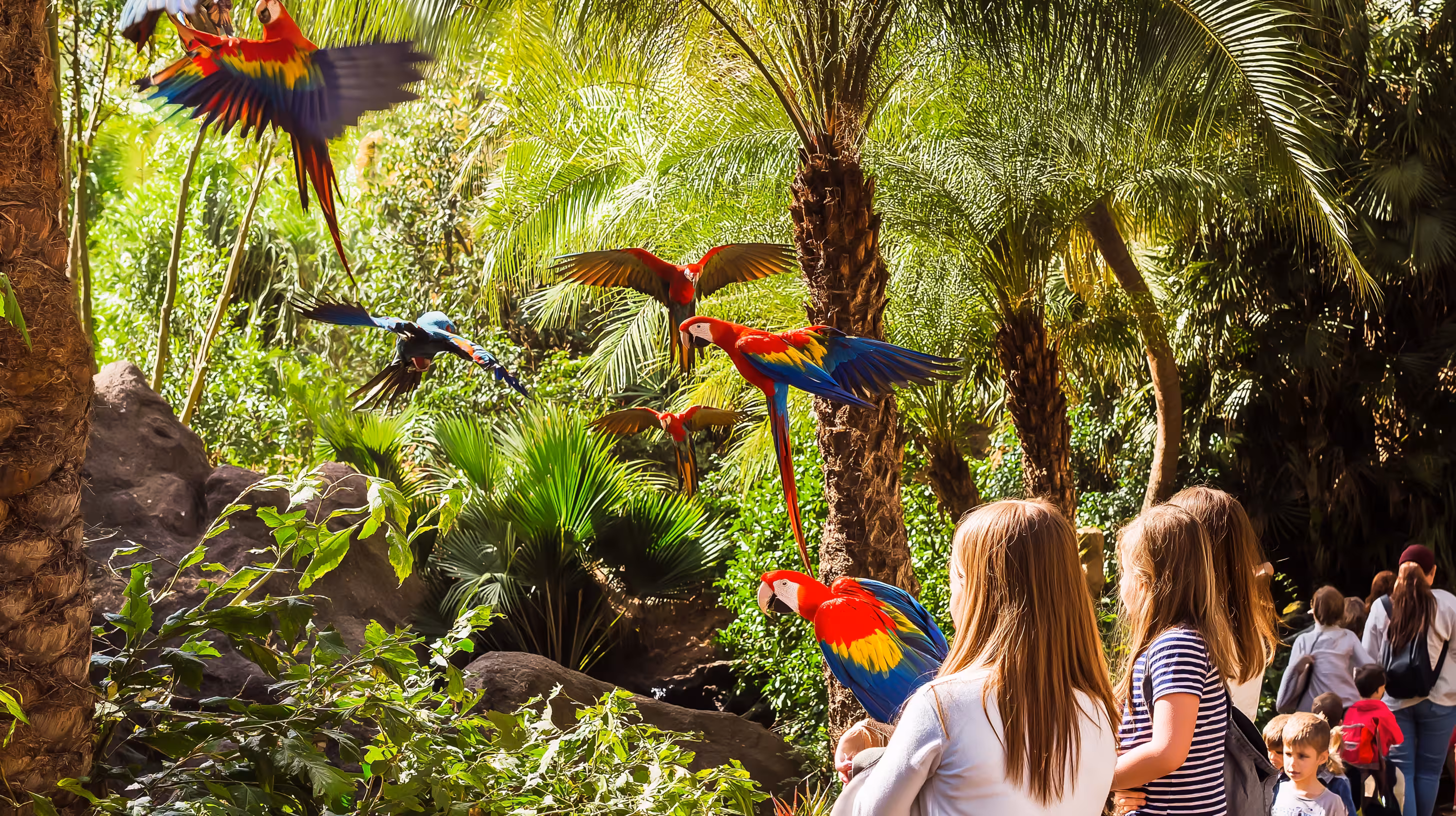 Sehenswürdigkeiten in - Teneriffa mit Kindern: Freizeitparks und Vulkanabenteuer